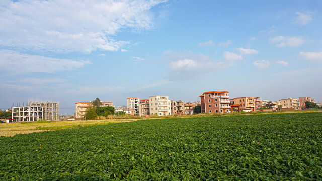 广东农村