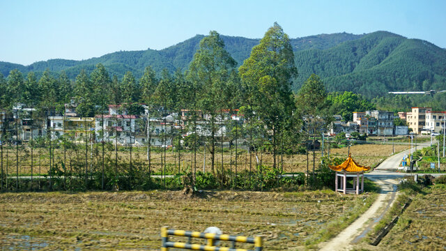 广东农村