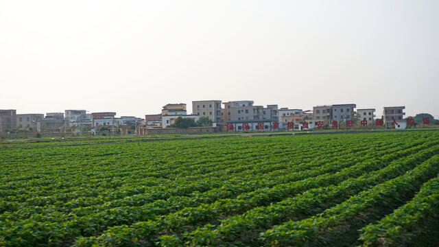广东农村
