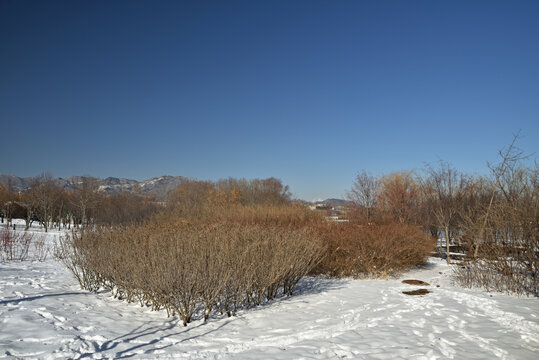 河北省石家庄市龙泉湖公园雪景