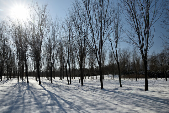 河北省石家庄市龙泉湖公园雪景