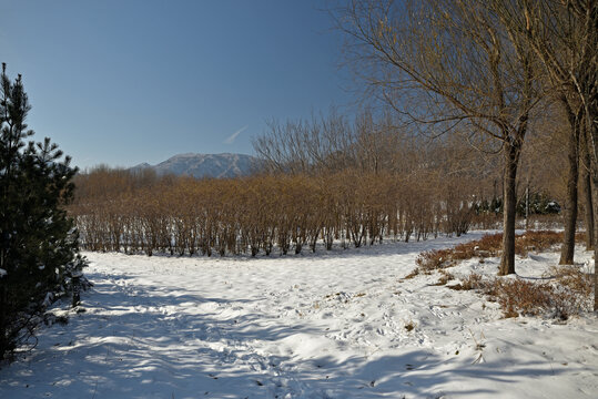 河北省石家庄市龙泉湖公园雪景