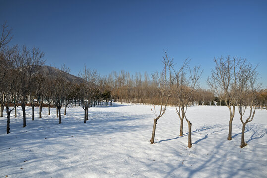 河北省石家庄市龙泉湖公园雪景