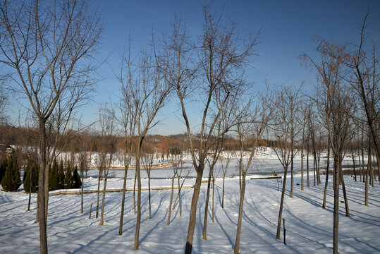 河北省石家庄市龙泉湖公园雪景