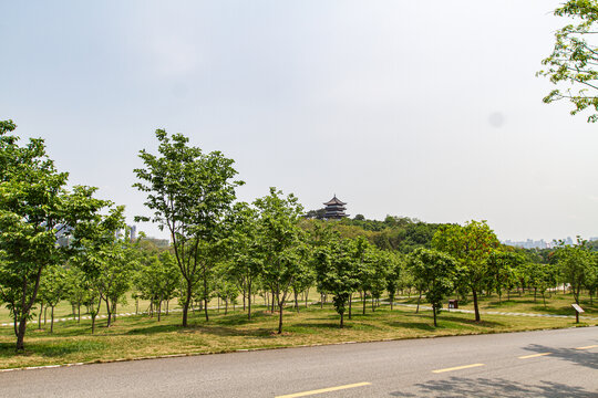 青秀山景区园林景观