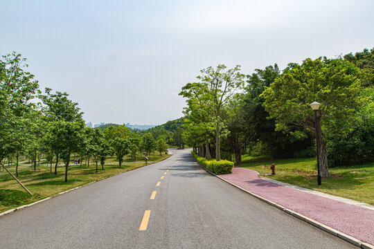 青秀山景区骑行道