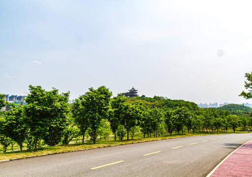 青秀山景区骑行道