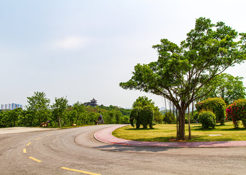 青秀山公园分环岛