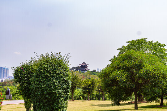 青秀山景区风光