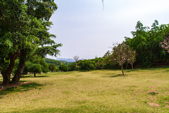 青秀山景区风光