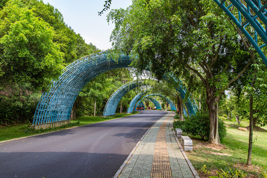 青秀山公园铁拱桥