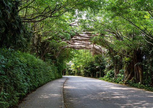 青秀山公园园林景观