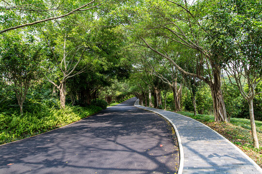 青秀山公园道路