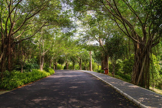 青秀山公园北坡路