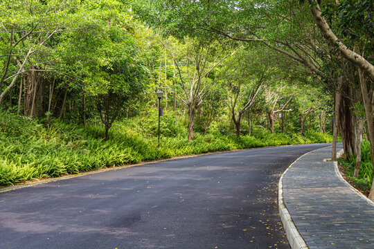 青秀山公园北坡路