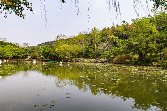 青秀山公园状元泉