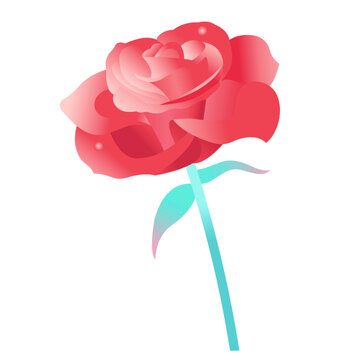 玫瑰花矢量插画元素