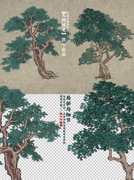 国学文化氛围中国传统美术写意树