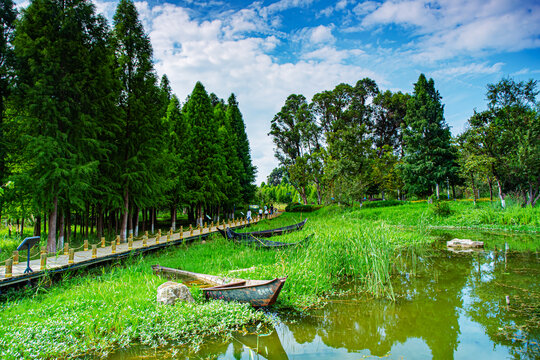 湿地公园景观