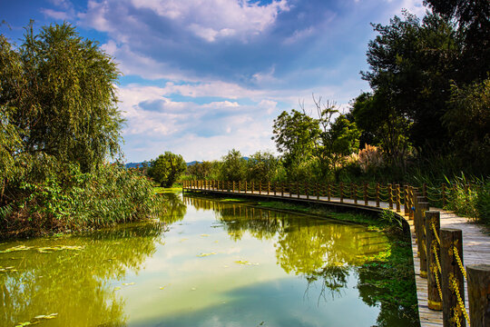 滇池国家湿地公园景观