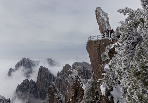 傲视群峰