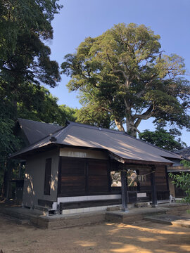 日本茨城县龙崎市村社八坂神社