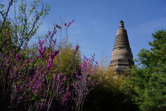 房山云居寺