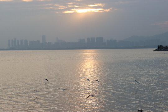 深圳湾海上日落