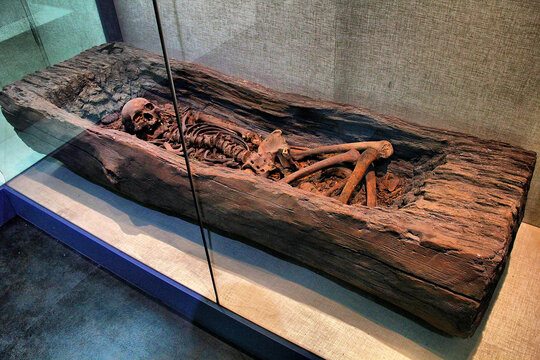 蒙古树棺葬