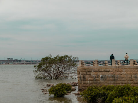 宝安西湾红树林公园