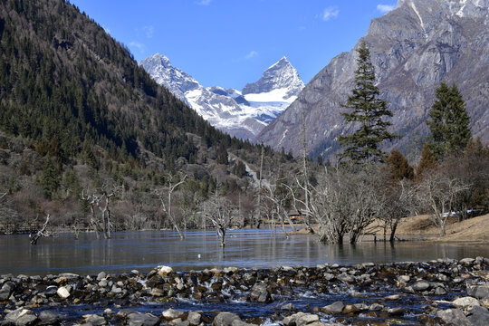 雪山森林湖泊