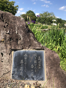 日本福岛绿水苑日式名人书法题壁