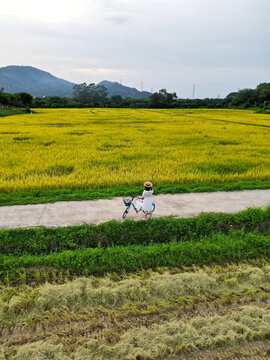 乡村旅游