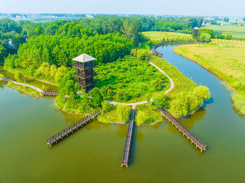 临泉鹭鸟湿地公园