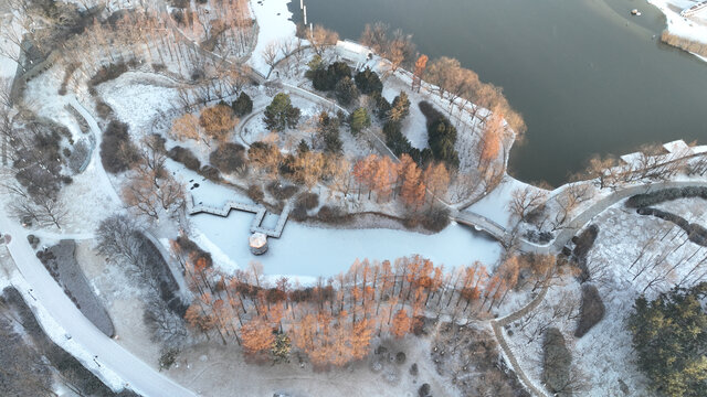 城阳世纪公园冬季雪景