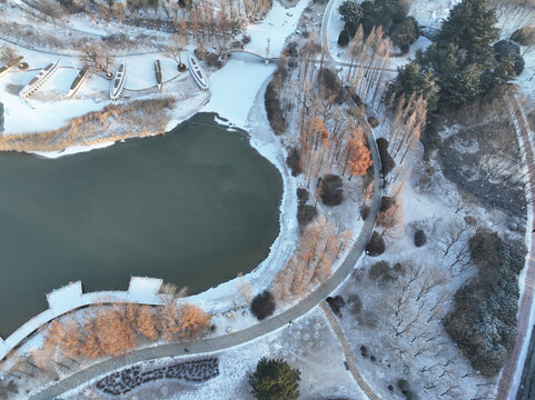 青岛城阳冬季雪景