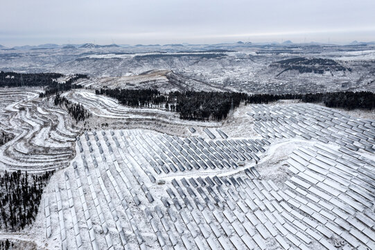 山亭区光伏发电场雪景