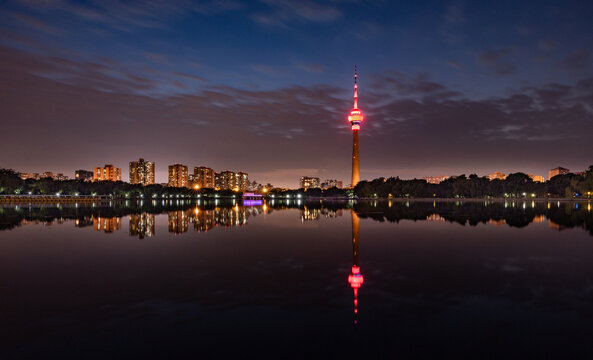 玉渊潭夜景