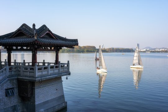 城市园林景观特写