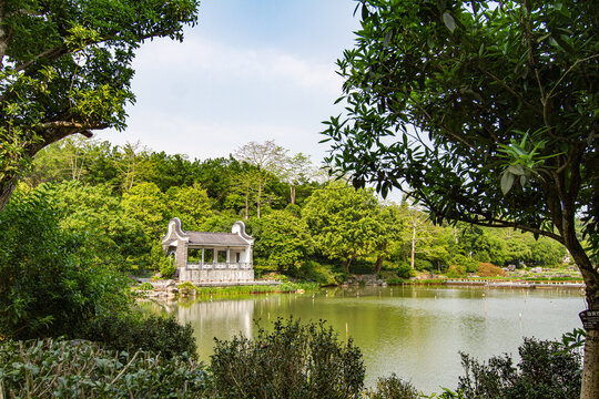 青秀山景区湖泊风光