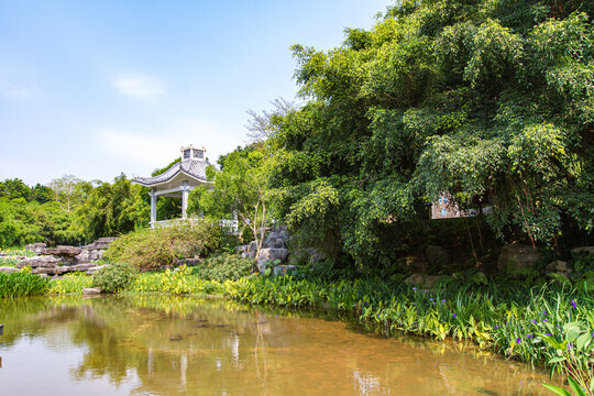 青秀山公园静香亭