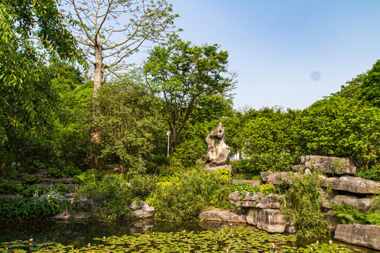 青秀山景区景观石