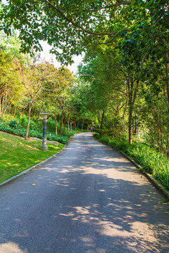 青秀山公园步道