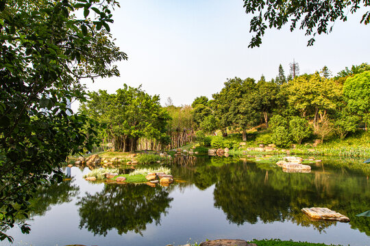 青秀山公园湖泊风光