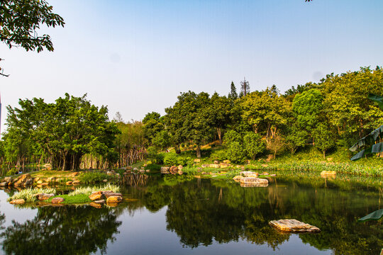 青秀山公园湖泊风光