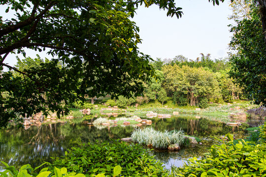 青秀山公园湖泊风光