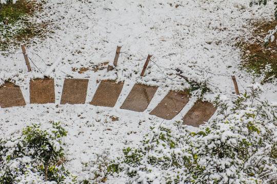 雪地小路