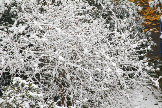 雪景风光