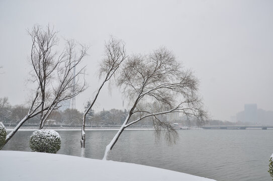 宿迁雪景