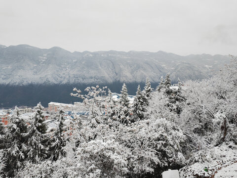 大雪